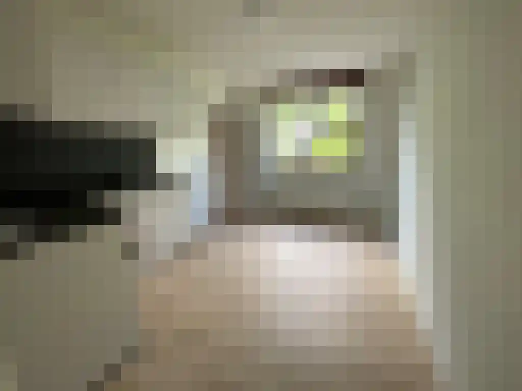 Fongersplaats Groningen thumbnail 6