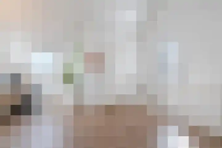 Fons Hardenbergstraat 11 Helmond thumbnail 24