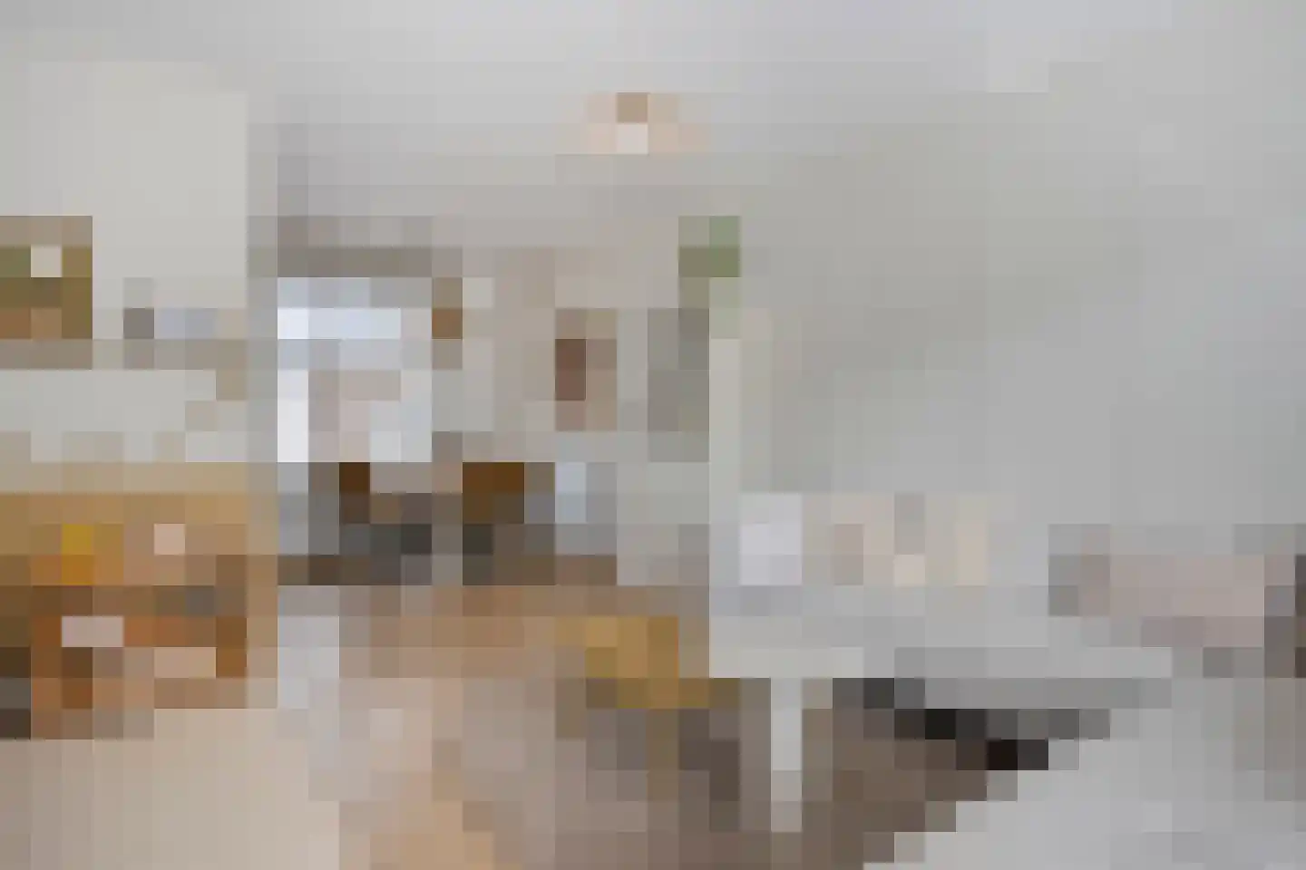 Fons Olterdissenstraat 14 Sittard thumbnail 18