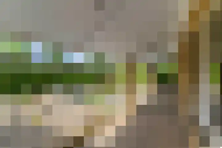 Fons Olterdissenstraat 4 Melick thumbnail 41