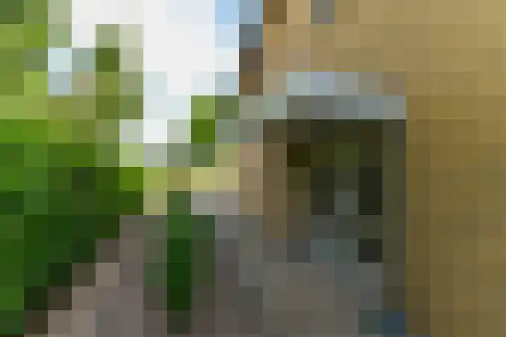 Fons Olterdissenstraat 4 Melick thumbnail 6