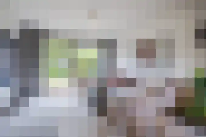 Fontanalaan 15 Eindhoven thumbnail 10