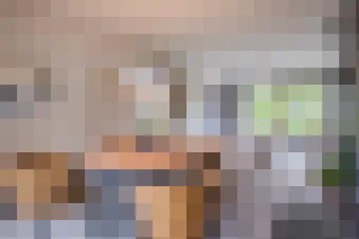 Fontanalaan 15 Eindhoven thumbnail 16