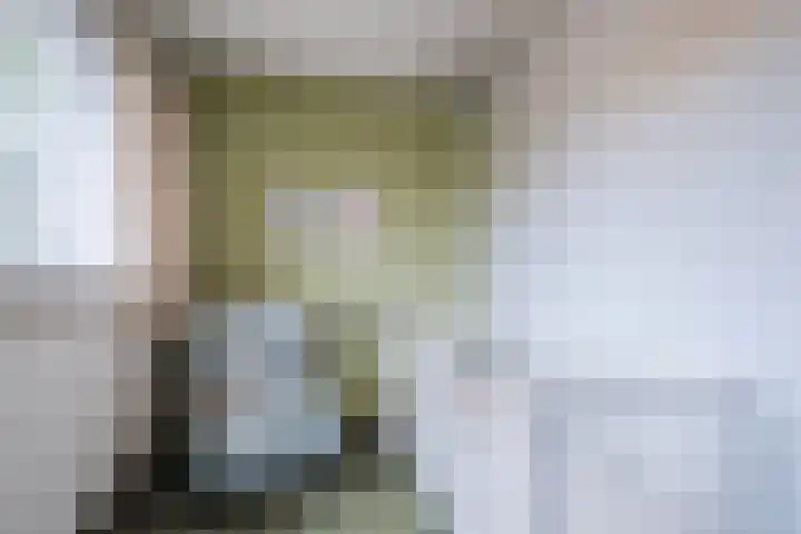 Fontanalaan 15 Eindhoven thumbnail 26