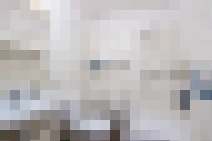 Fontanalaan 15 Eindhoven thumbnail 30