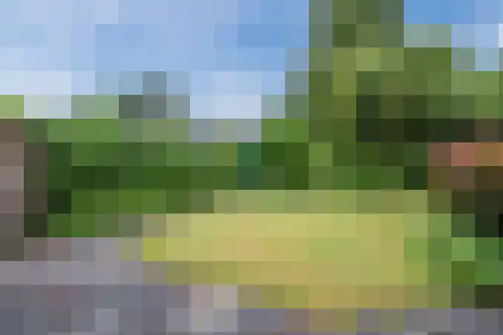 Fontanalaan 15 Eindhoven thumbnail 41