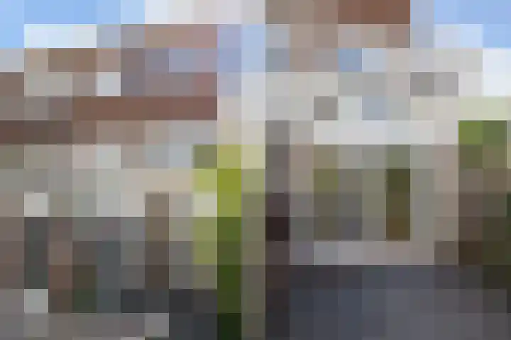 Fontein Verschuirstraat 20 Alkmaar thumbnail 53