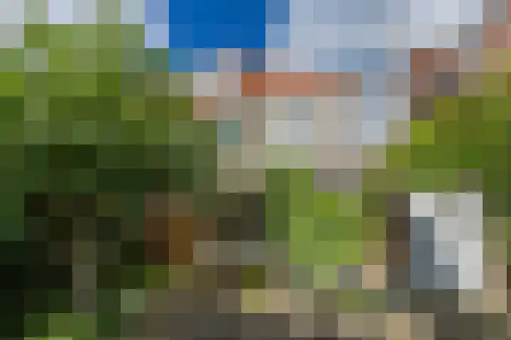 Fontein Verschuirstraat 7 Alkmaar thumbnail 16
