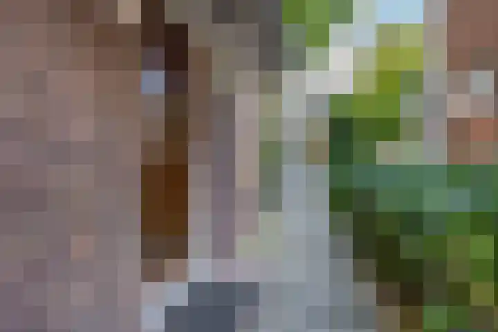 Fontein Verschuirstraat 7 Alkmaar thumbnail 4