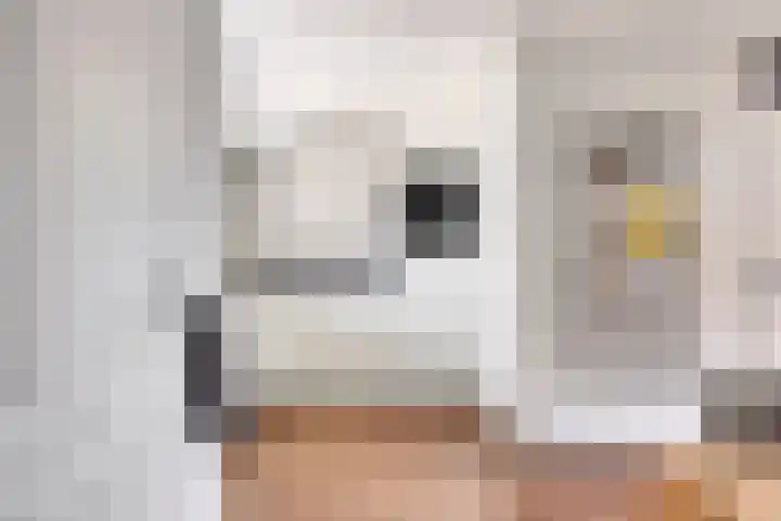 Fonteinkruid 1 Hardenberg thumbnail 12