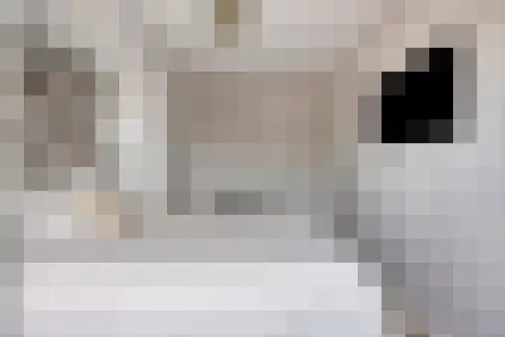 Fonteinkruid 1 Hardenberg thumbnail 16