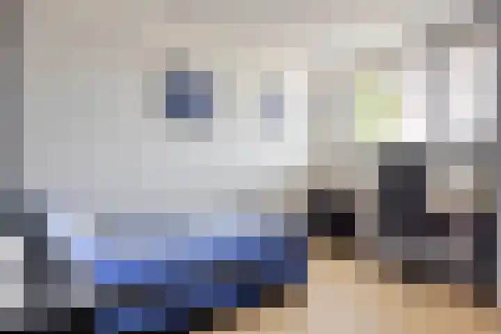 Fonteinkruid 1 Hardenberg thumbnail 17