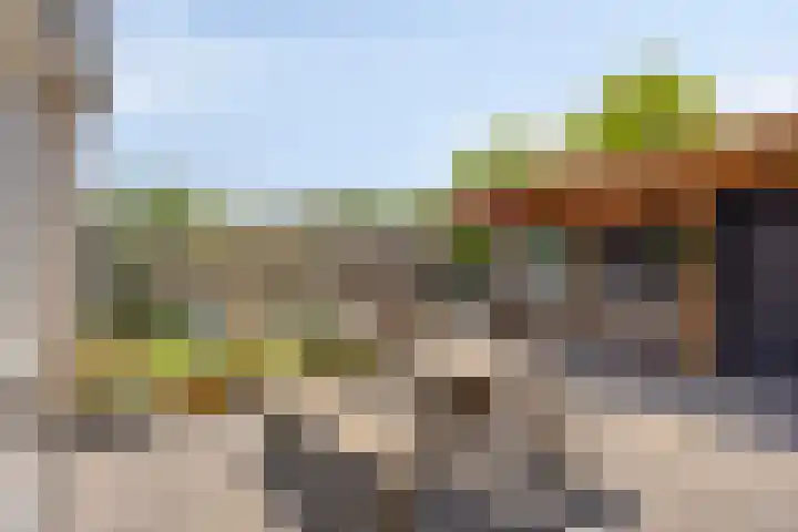 Fonteinkruid 1 Hardenberg thumbnail 27