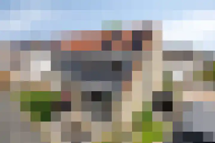 Fonteinkruid 1 Hardenberg thumbnail 29