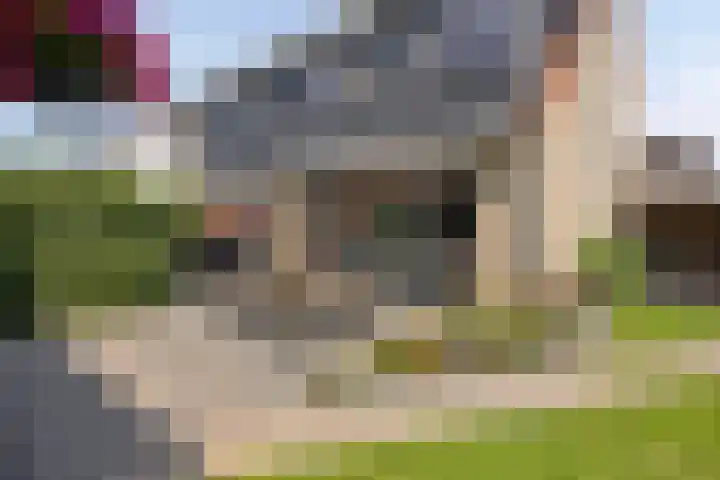 Fonteinkruid 1 Hardenberg thumbnail 30