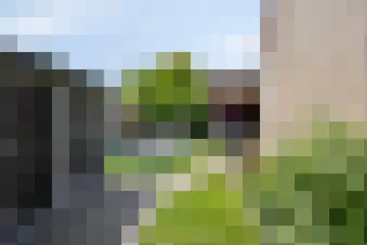 Fonteinkruid 1 Hardenberg thumbnail 31