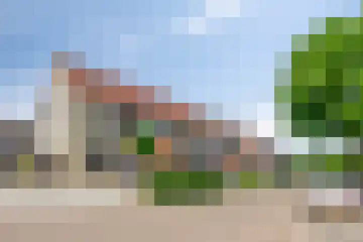 Fonteinkruid 1 Hardenberg thumbnail 32
