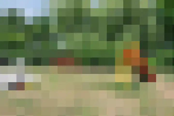 Fonteinkruid 1 Hardenberg thumbnail 34