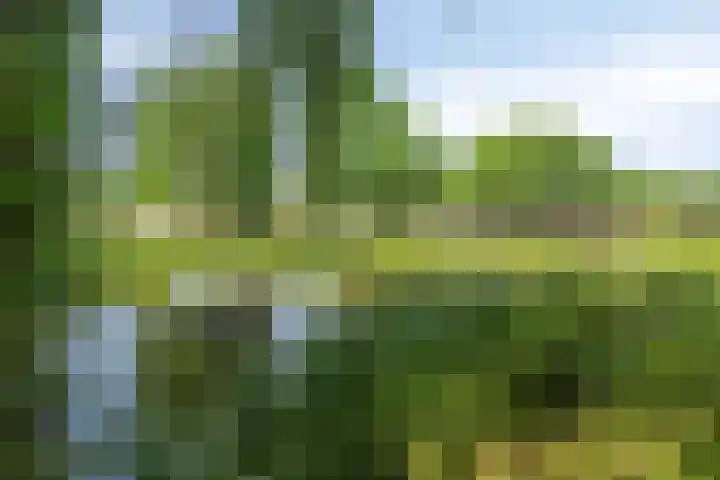 Fonteinkruid 1 Hardenberg thumbnail 35