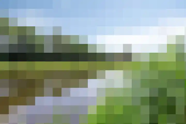 Fonteinkruid 1 Hardenberg thumbnail 37