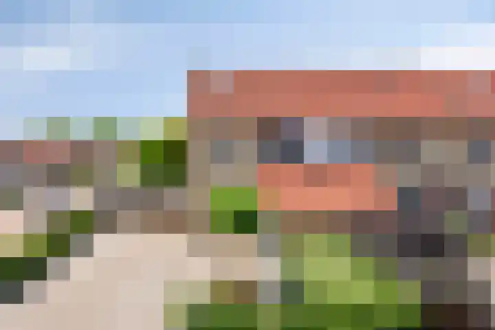 Fonteinkruid 1 Hardenberg thumbnail 4