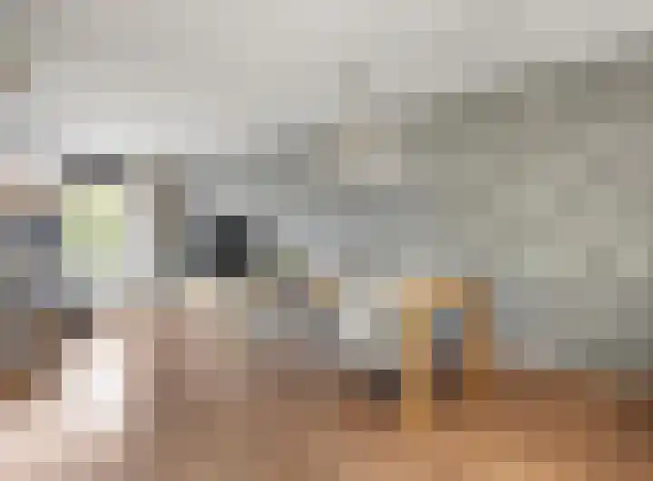 Fonteinkruid 1 Hardenberg thumbnail 6