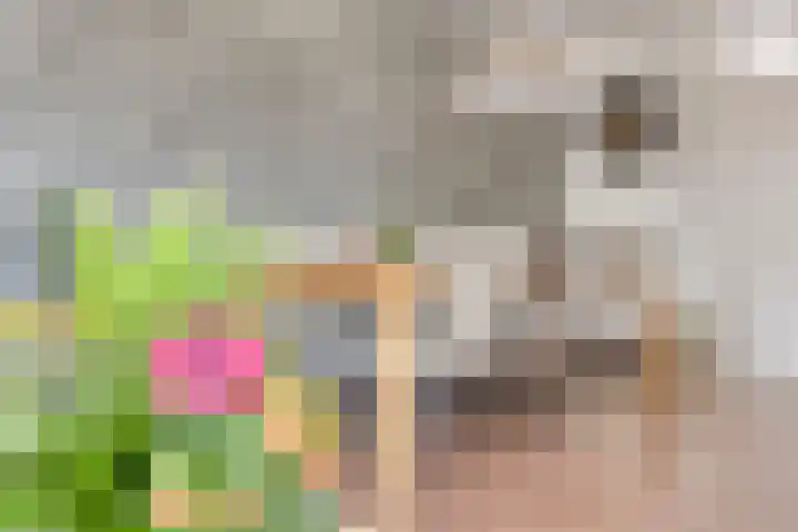 Fonteinkruid 1 Hardenberg thumbnail 9