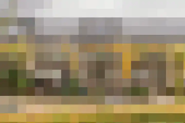 Fonteinkruid 11 in Alphen aan den Rijn