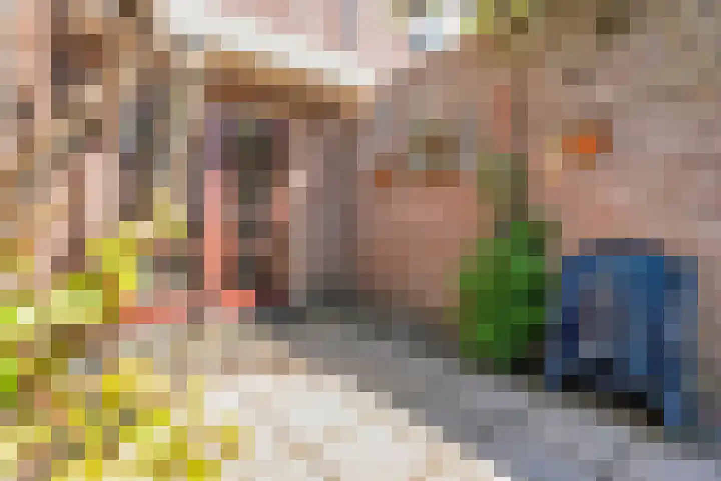 Fonteinkruid 11 a Hardenberg thumbnail 32