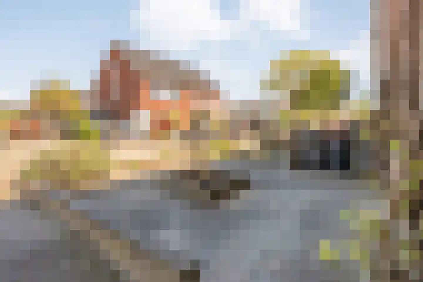 Fonteinkruid 11 a Hardenberg thumbnail 38