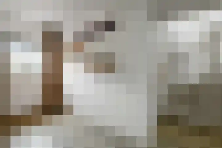 Fonteinkruid 11 Elst thumbnail 21