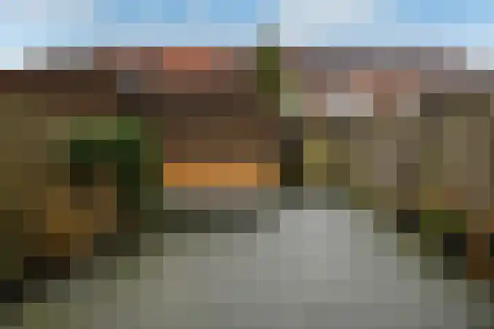 Fonteinkruid 11 Elst thumbnail 38