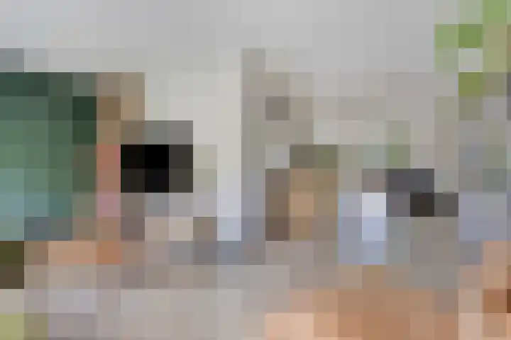 Fonteinkruid 11 Zeewolde thumbnail 14