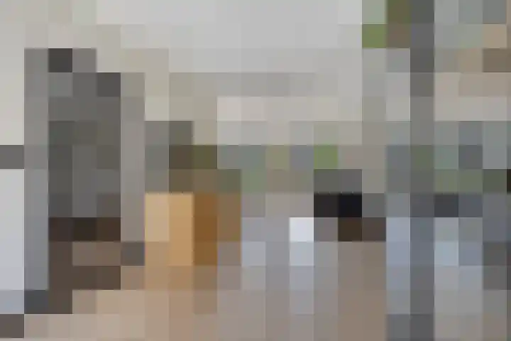 Fonteinkruid 11 Zeewolde thumbnail 15