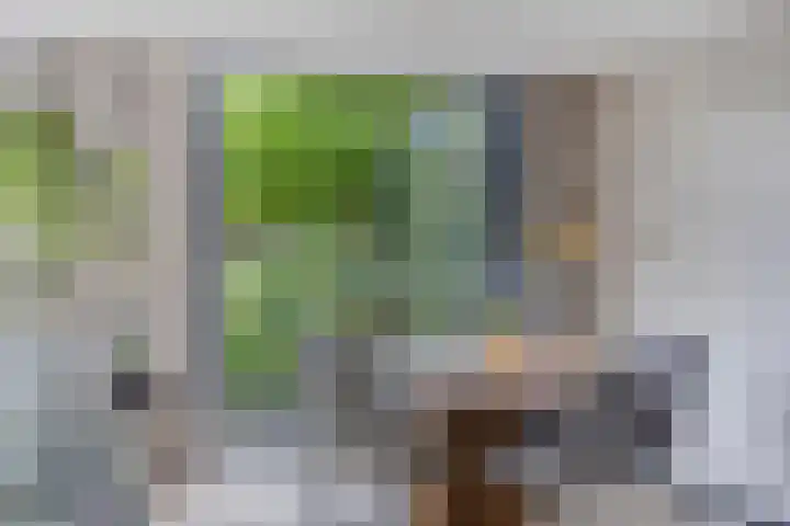 Fonteinkruid 11 Zeewolde thumbnail 19