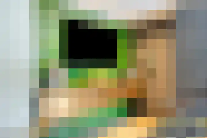 Fonteinkruid 11 Zeewolde thumbnail 21