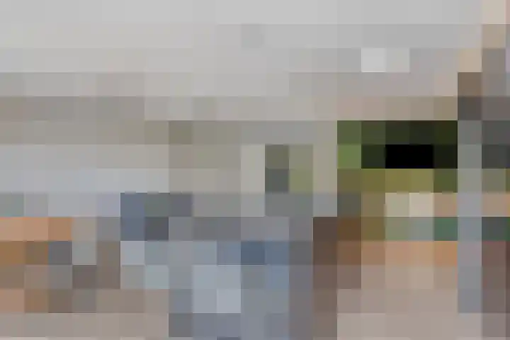Fonteinkruid 11 Zeewolde thumbnail 22