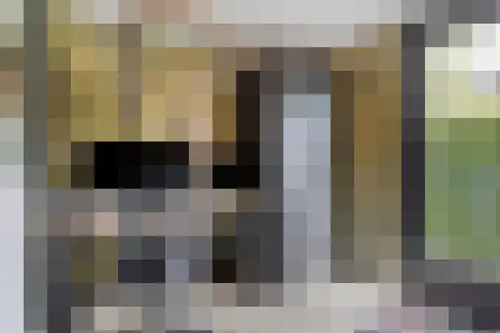 Fonteinkruid 11 Zeewolde thumbnail 23
