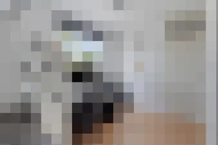 Fonteinkruid 11 Zeewolde thumbnail 31