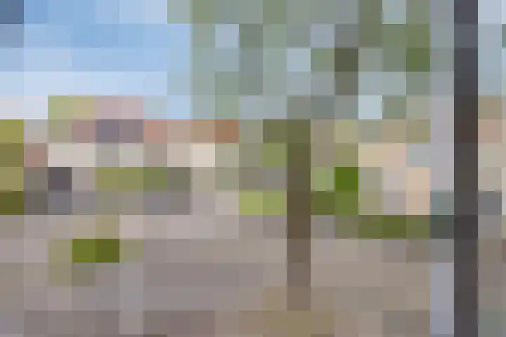 Fonteinkruid 11 Zeewolde thumbnail 32
