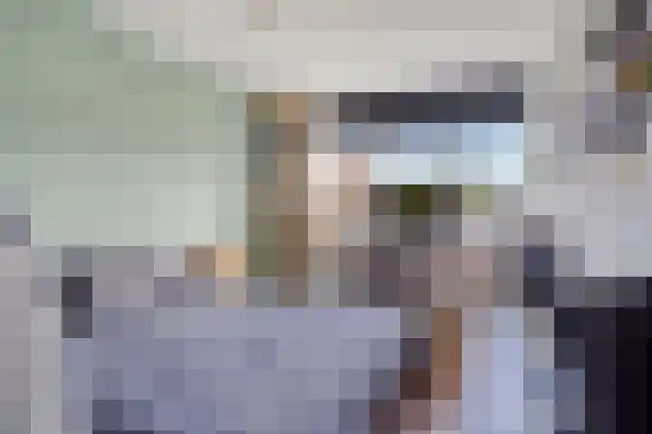 Fonteinkruid 11 Zeewolde thumbnail 33