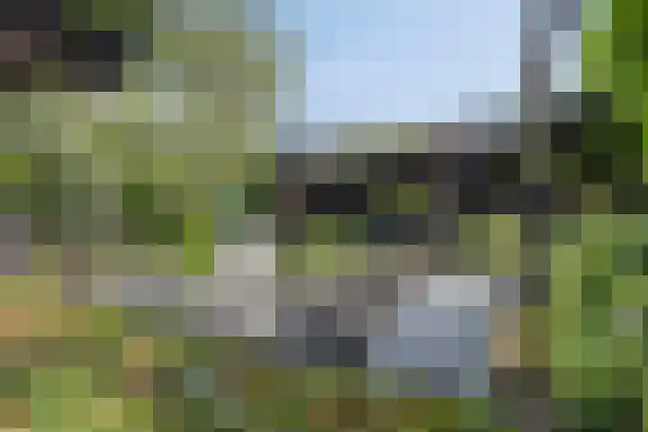 Fonteinkruid 11 Zeewolde thumbnail 35