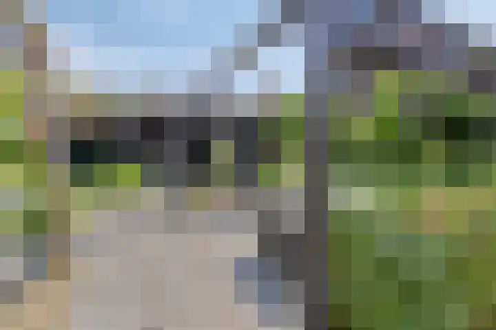 Fonteinkruid 11 Zeewolde thumbnail 36