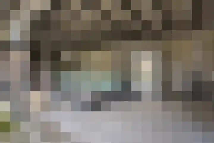 Fonteinkruid 11 Zeewolde thumbnail 37