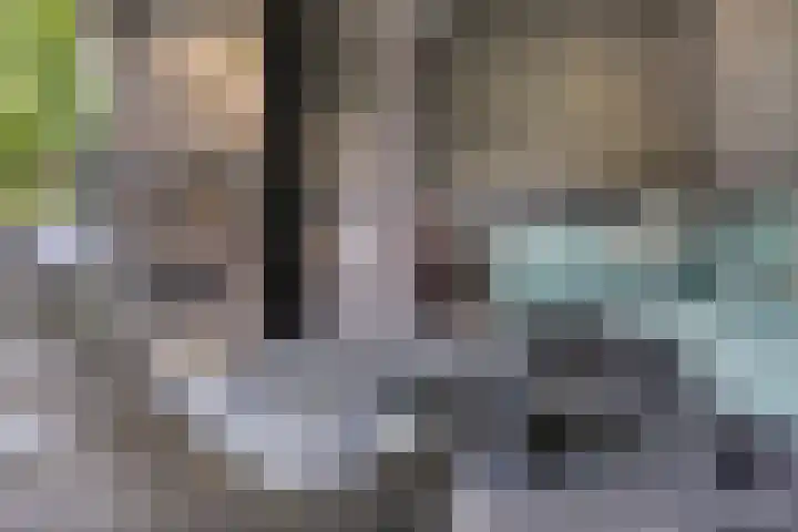 Fonteinkruid 11 Zeewolde thumbnail 38