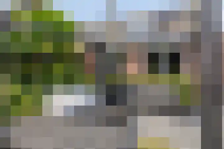 Fonteinkruid 11 Zeewolde thumbnail 41