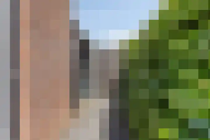 Fonteinkruid 11 Zeewolde thumbnail 42