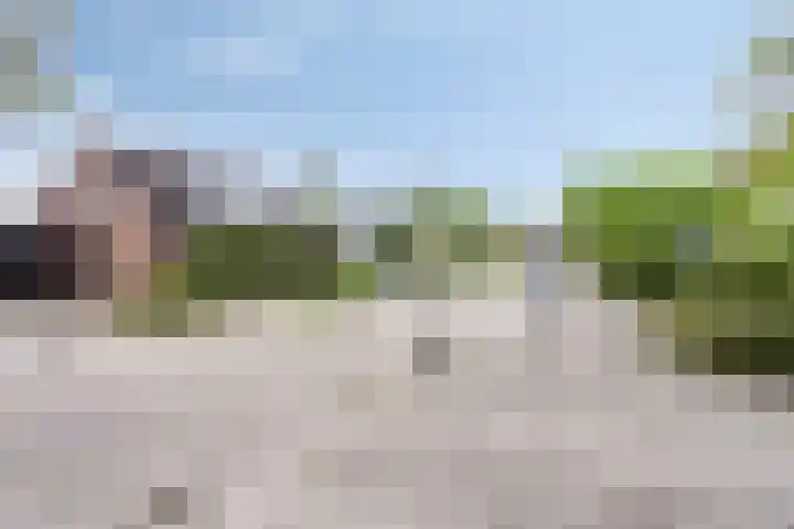 Fonteinkruid 11 Zeewolde thumbnail 44