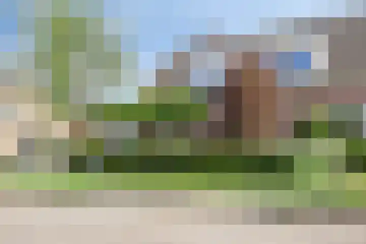 Fonteinkruid 11 Zeewolde thumbnail 45