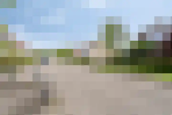 Fonteinkruid 11 Zeewolde thumbnail 46